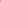 Women's Boxer in Peony